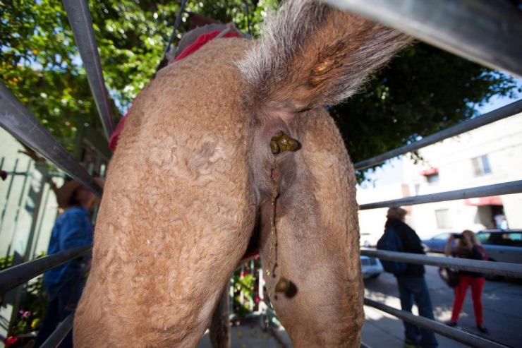 148999_879708021119_784164670_n