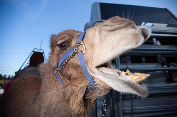 149243_879714019099_1885553413_n